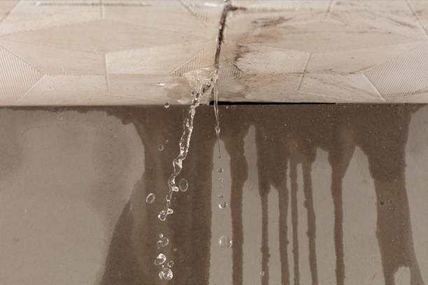 Professional Burst Pipe Cleanup technician working in Edinburgh, IN